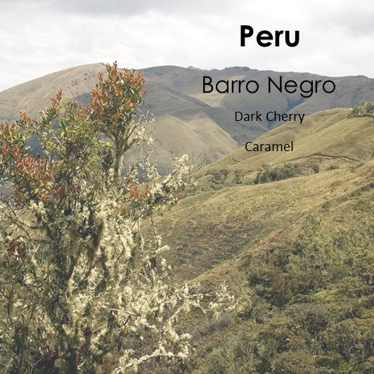 Peru Barro Negro