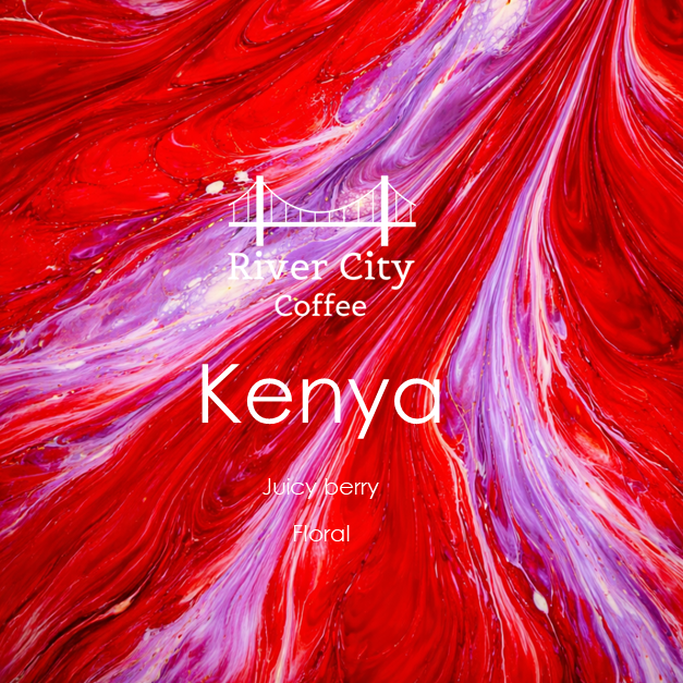 Kenya Samburu AA