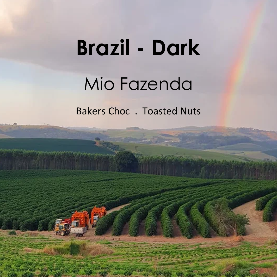 Brazil - Dark