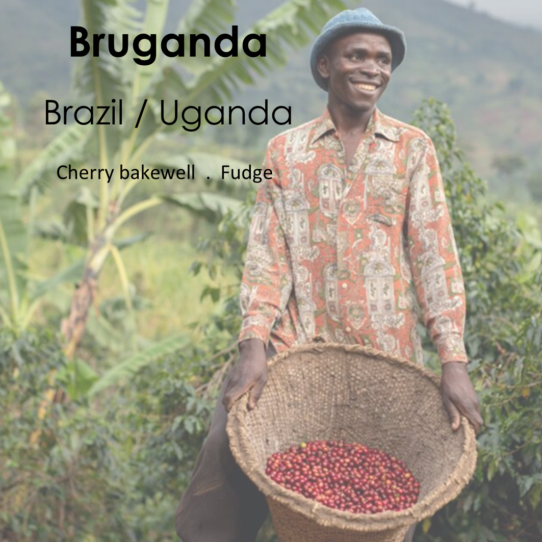 Bruganda - Brazil / Uganda Blend