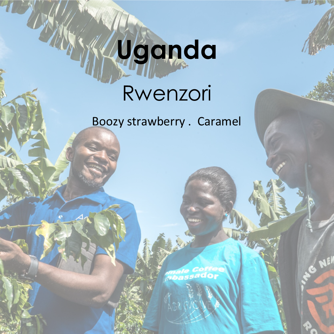 Uganda - Rwenzori